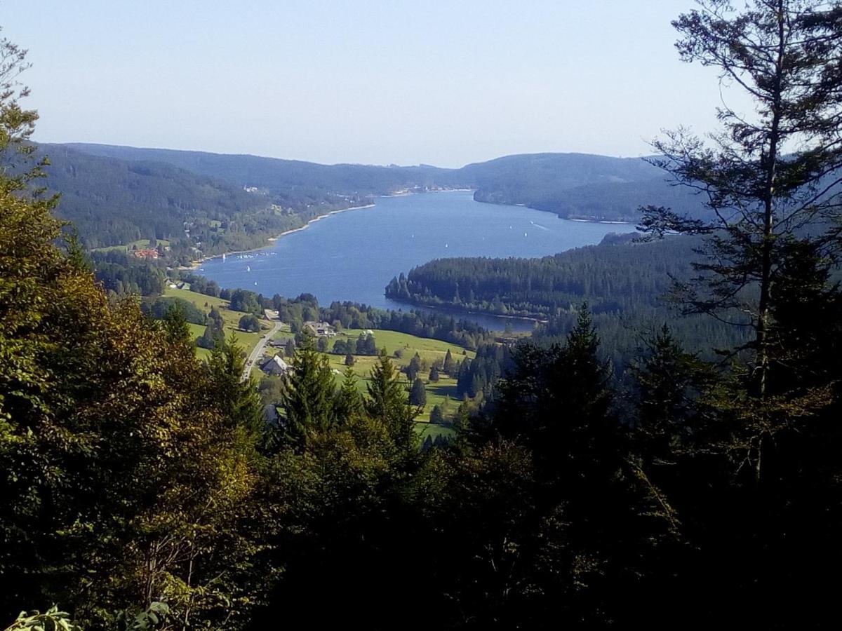 Ferienwohnung Waldrast Lenzkirch Bagian luar foto