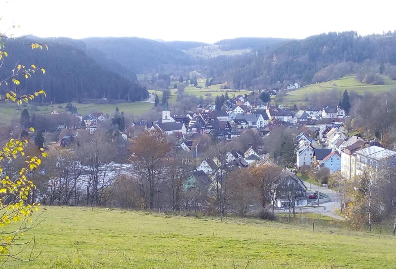 Ferienwohnung Waldrast Lenzkirch Bagian luar foto