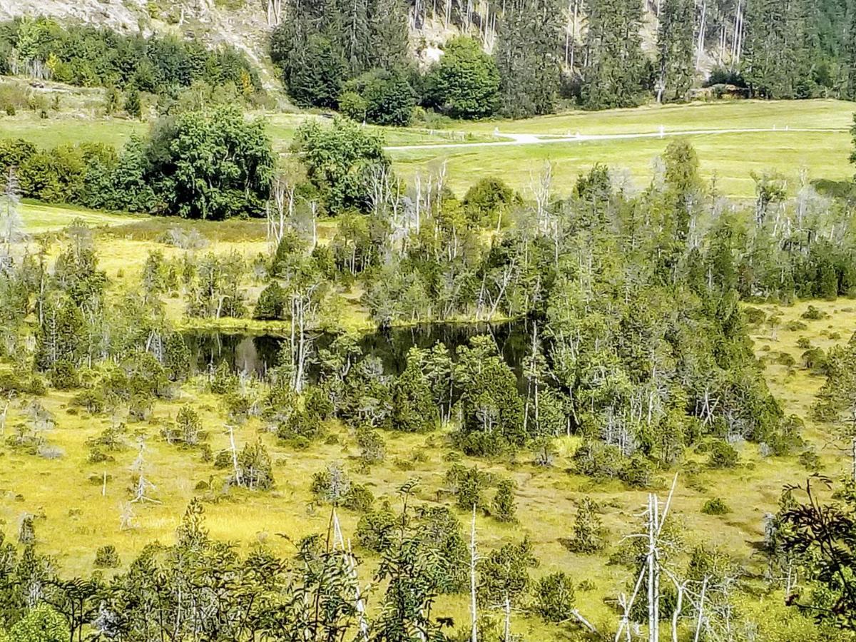 Ferienwohnung Waldrast Lenzkirch Bagian luar foto