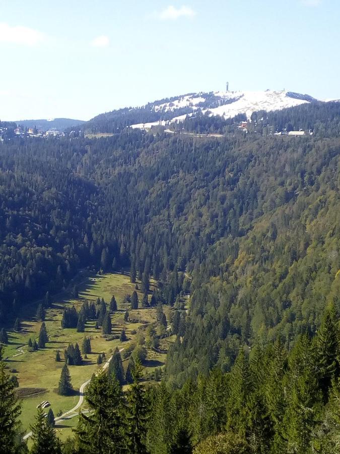 Ferienwohnung Waldrast Lenzkirch Bagian luar foto